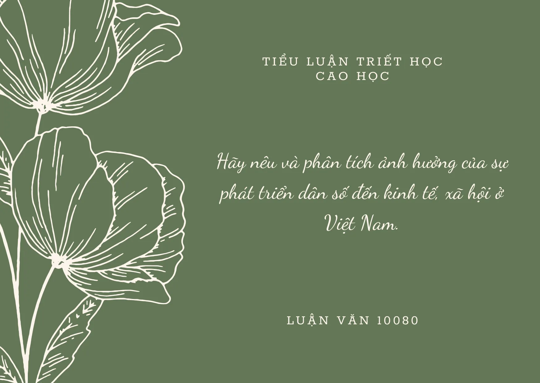 Tiểu luận triết học cao học về hưởng của sự phát triển dân số đến kinh tế, xã hội ở Việt Nam