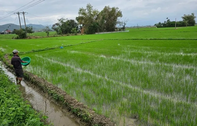 Quản lý tài nguyên nước trong sản xuất nông nghiệp