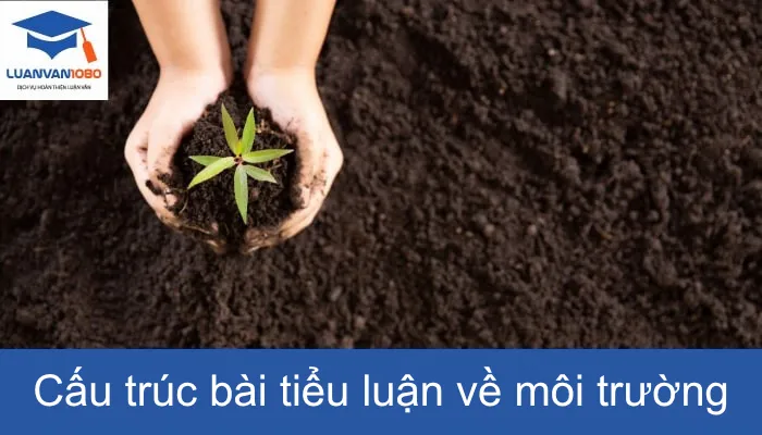Cấu trúc bài tiểu luận về môi trường