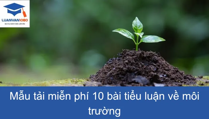 Mẫu tải miễn phí 10 bài tiểu luận về môi trường
