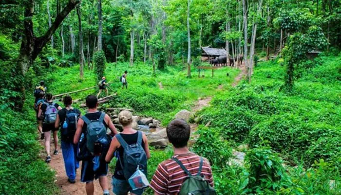 Vai trò du lịch sinh thái gắn kết giữa con người với môi trường sống xung quanh Vai trò du lịch sinh thái gắn kết giữa con người với môi trường sống xung quanh