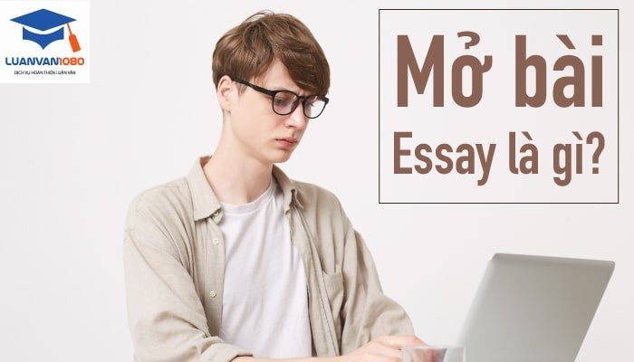 Mở bài essay là gì?