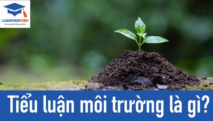 Tiểu luận môi trường là gì? Ứng dụng cho những ngành học nào?
