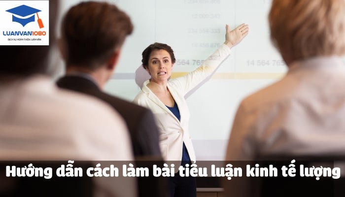 Hướng dẫn cách làm bài tiểu luận kinh tế lượng