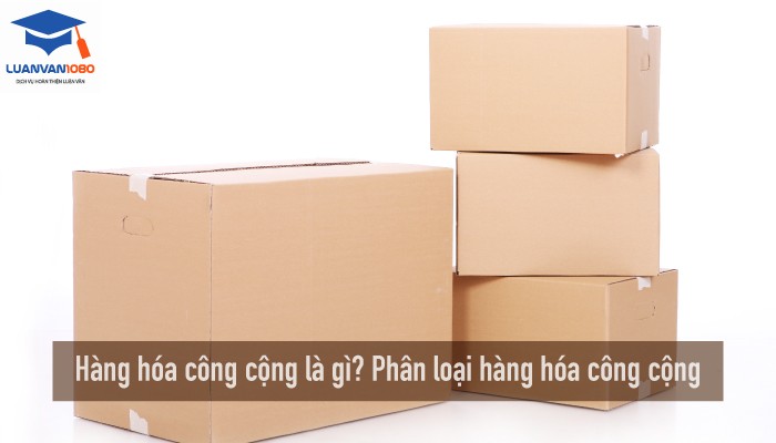 hang-hoa-cong-cong-la-gi Hàng hóa công cộng là gì? Phân loại hàng hóa công cộng
