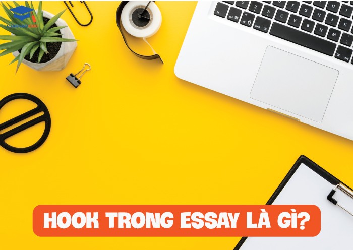 Câu hook trong essay là gì?