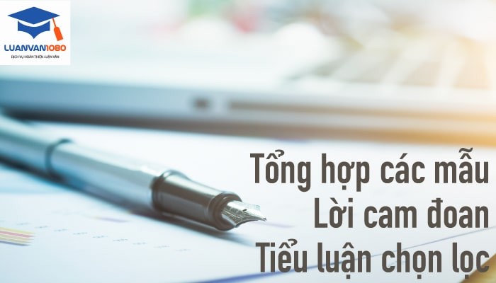 Tổng hợp mẫu lời cam đoan trong bài tiểu luận chọn lọc