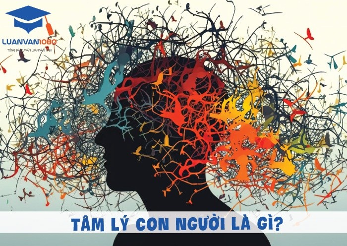 Tâm lý con người là gì?