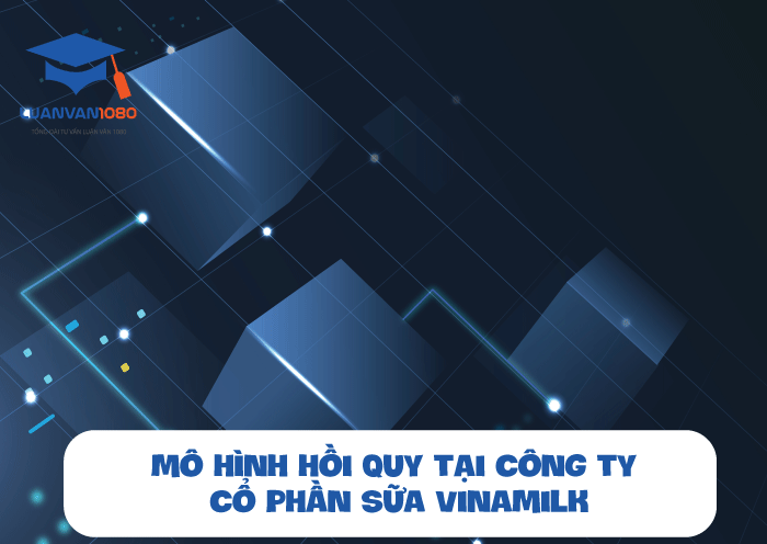 Tiểu luận kinh tế lượng về mô hình hồi quy