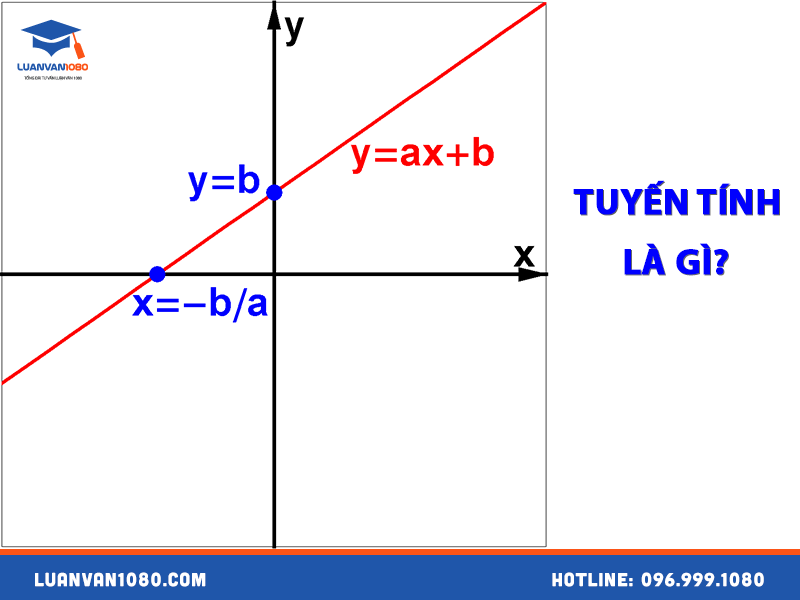 Tuyến tính là gì?