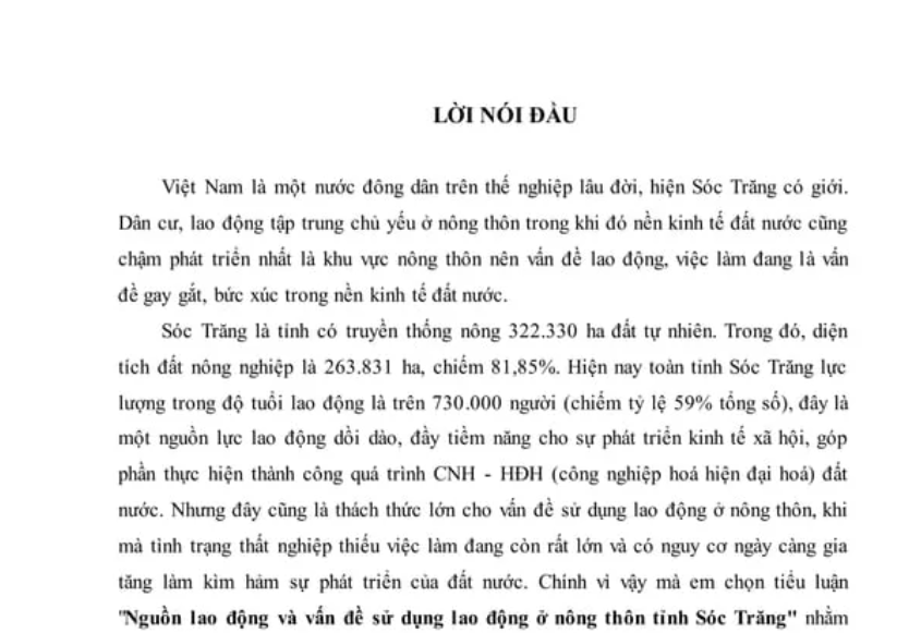 Lời mở đầu tiểu luận kinh tế vi mô về sử dụng nguồn lao động tại Sóc Trăng