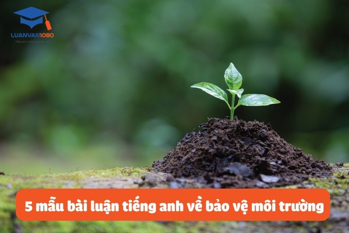 Mẫu luận tiếng anh về bảo vệ môi trường