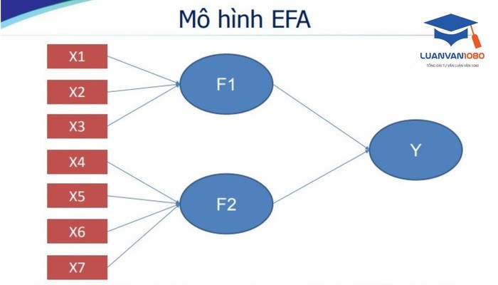 Mô hình EFA