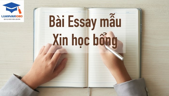 Những bài essay mẫu xin học bổng hay xuất sắc