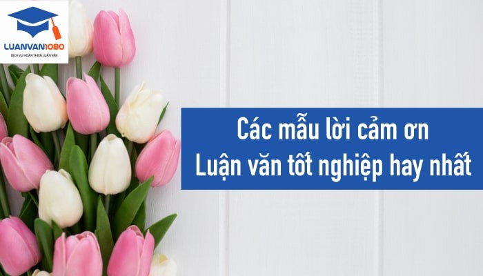 Các mẫu lời cảm ơn luận văn tốt nghiệp hay nhất