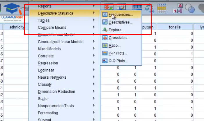Bước 1.  Analyze - Descriptive Statistics - Frequencies