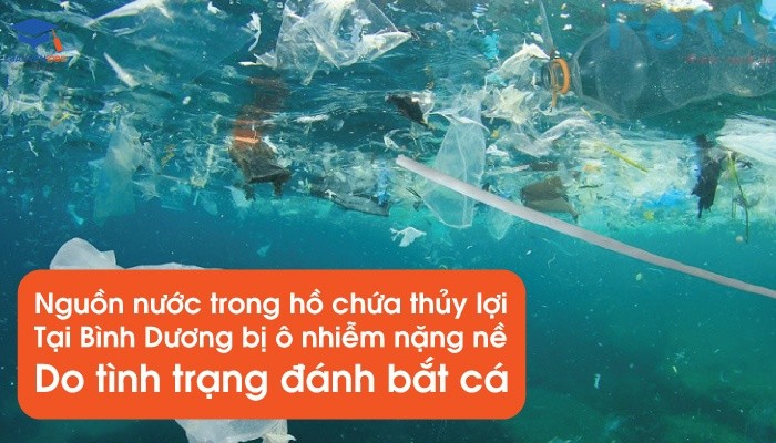 Quản lý nhà nước ngạch chuyên viên môi trường về xử lý vi phạm bảo vệ nguồn nước tại Bình Dương