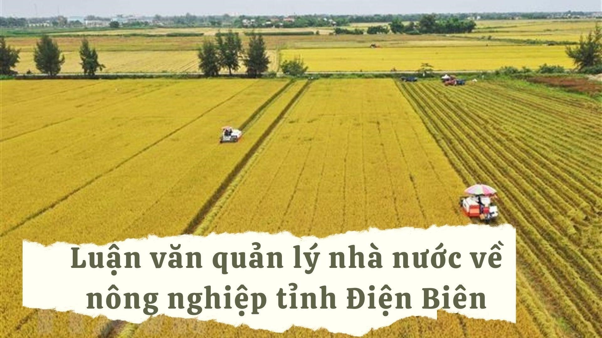 Luận văn quản lý nhà nước về nông nghiệp tỉnh Điện Biên
