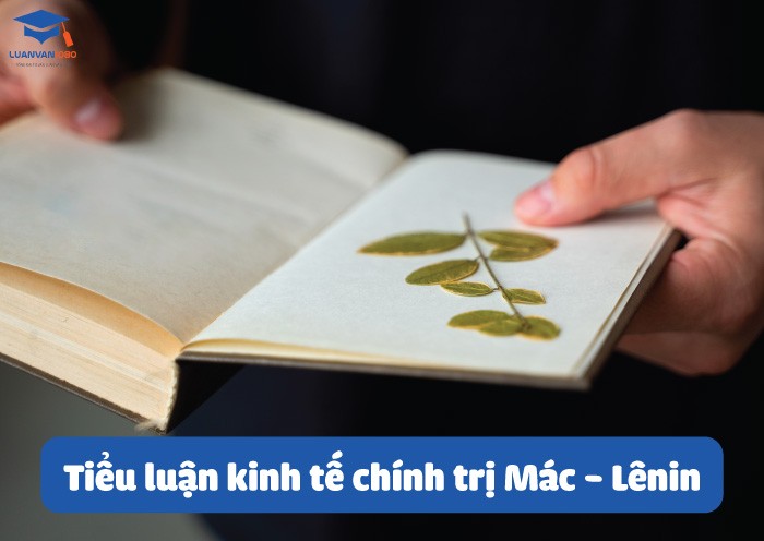 Tiểu luận kinh tế chính trị Mác - Lênin