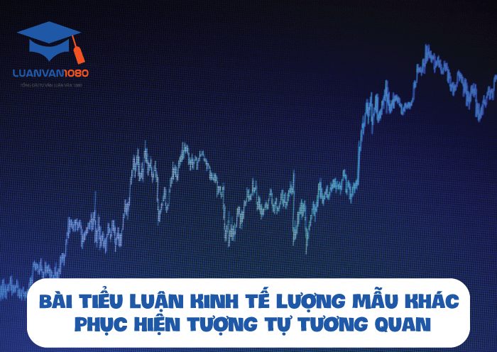 Tiểu luận kinh tế lượng ấn tượng