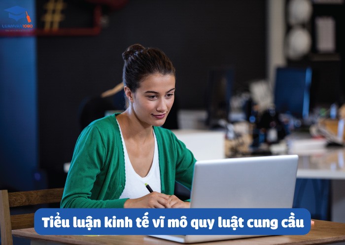 Tiểu luận kinh tế vĩ mô quy luật cung cầu
