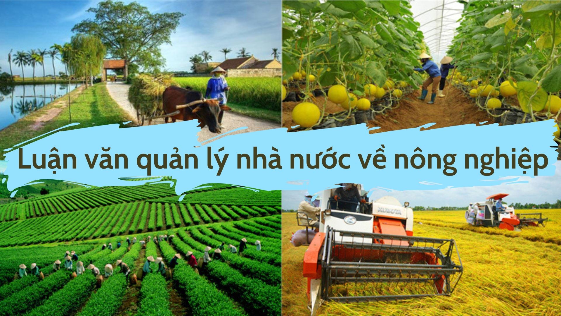 Mẫu quản lý nhà nước về nông nghiệp