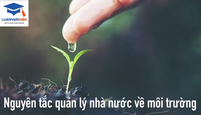 Nguyên tắc quản lý nhà nước về môi trường là gì? Nguyên tắc quản lý nhà nước về môi trường là gì?