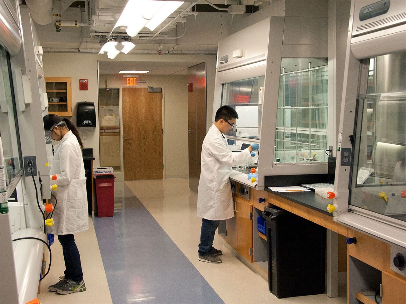 Tiểu luận có được thêm hình ảnh không?