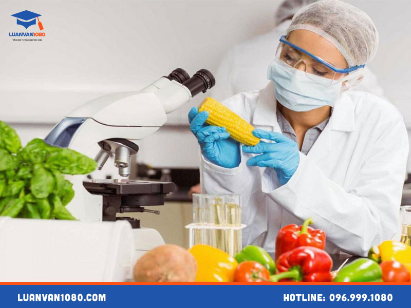 Luận văn tốt nghiệp ngành công nghệ thực phẩm