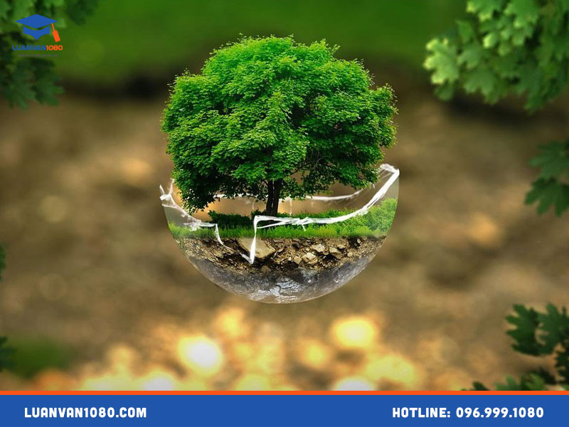 Luận văn tốt nghiệp ngành môi trường