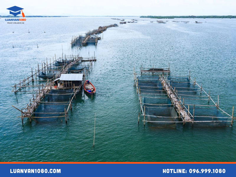 Luận văn tốt nghiệp ngành thủy sản