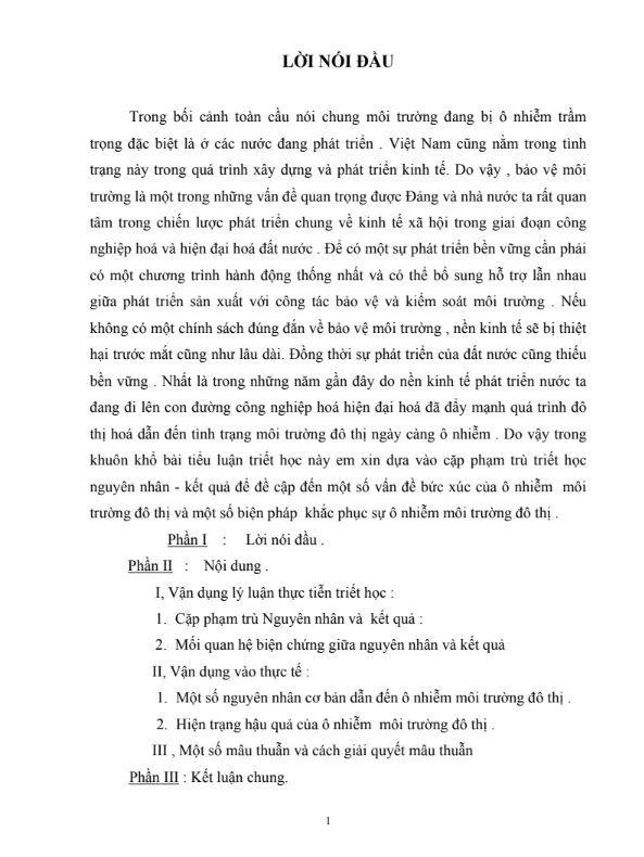 Bài tiểu luận thực trạng ô nhiễm môi trường đô thị