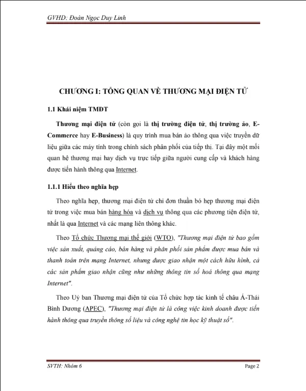 Mẫu bài tiểu luận tổng quan ứng dụng thương mại điện tử