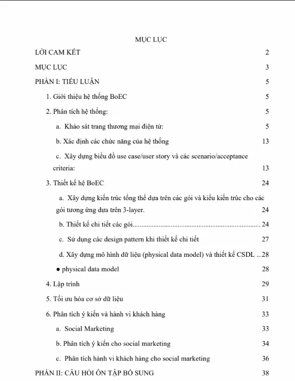 Mẫu bài tiểu luận về hệ thống BoEC trong thương mại điện tử