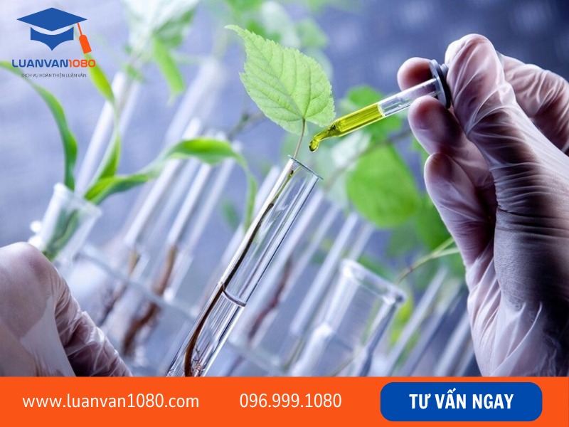 Nghiên cứu sinh tiến sĩ là gì?