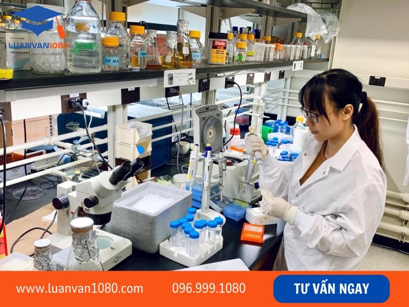 Điều kiện về văn bằng và chuyên môn khi dự tuyển tiến sĩ